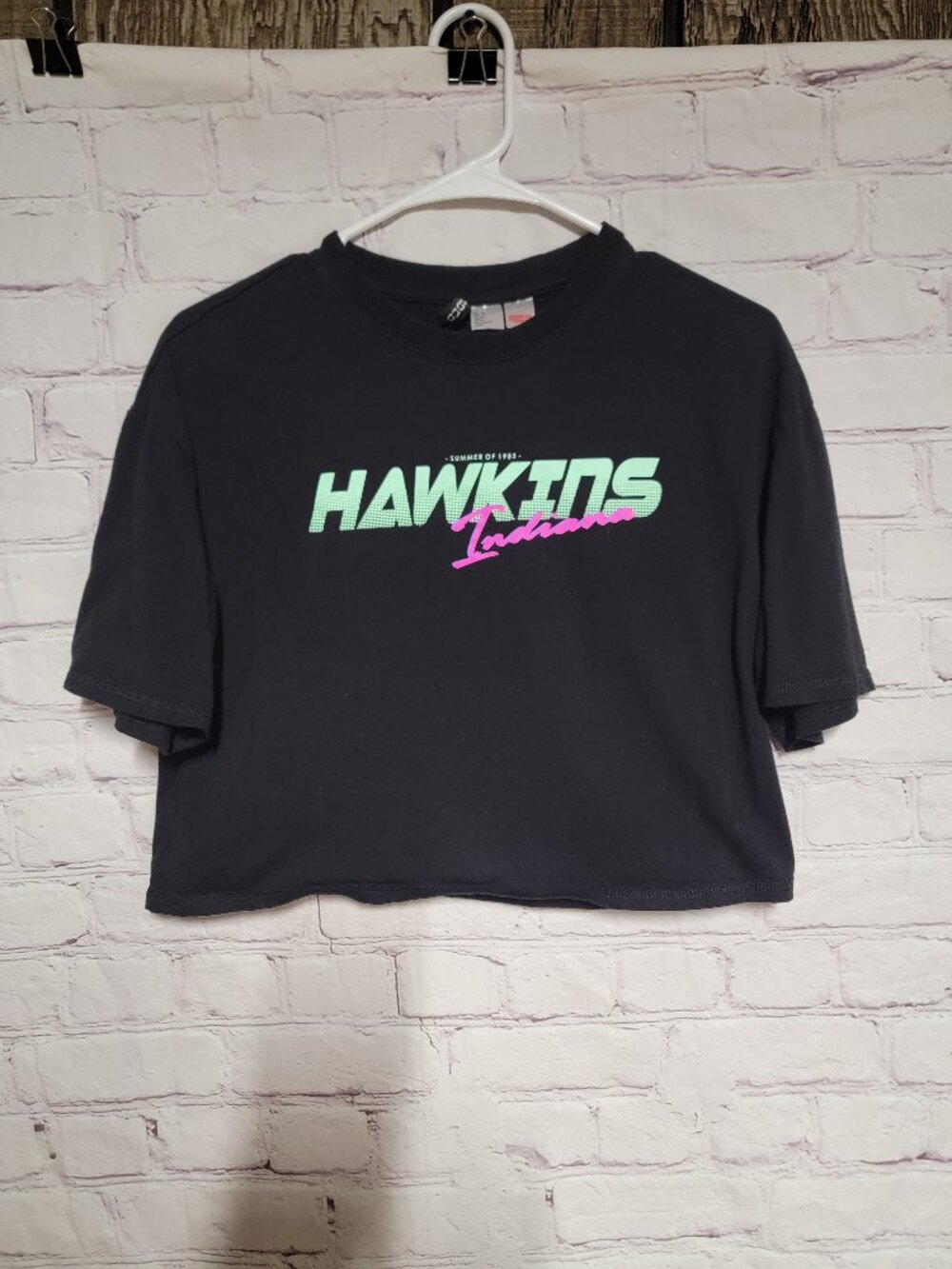 Divided Stranger Things Hawkins Cropped T-shirt